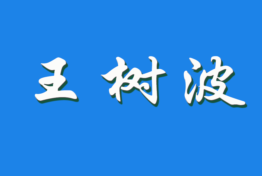 2024 王树波（钩活术执行人）