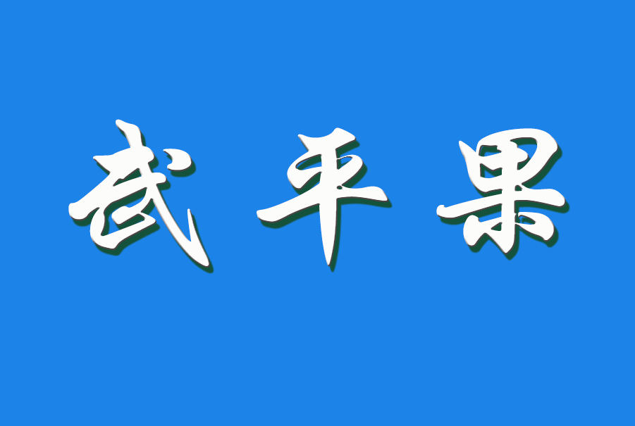 2025 武平果（钩活术执行人)